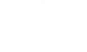 Logo The Little Gym South Africa